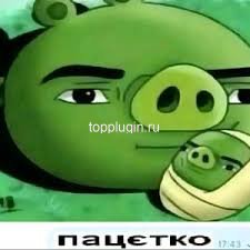 пацэтко.jpg