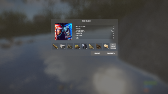 BStats Копия статистики с Boloto Rust