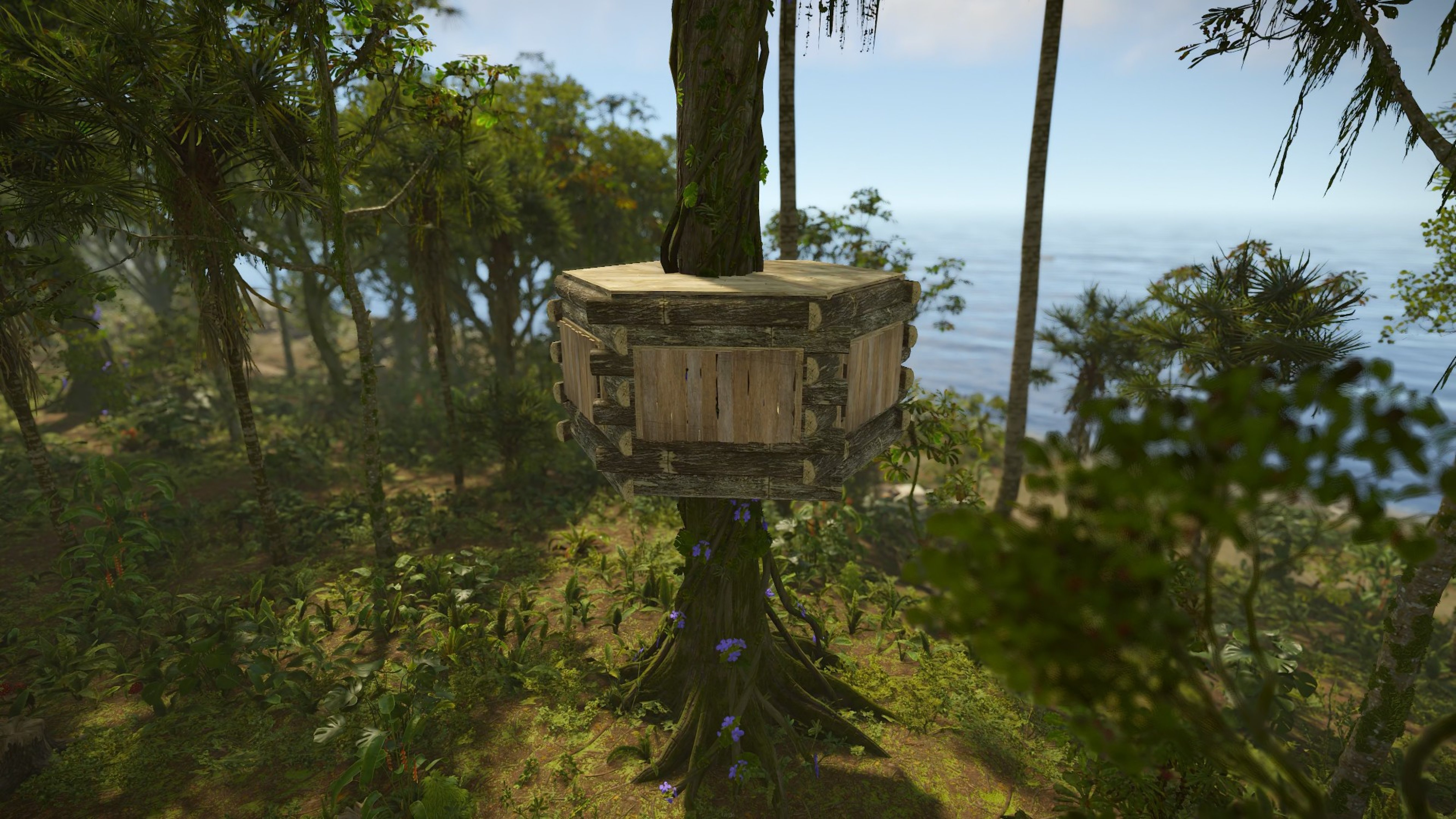TreeHouse